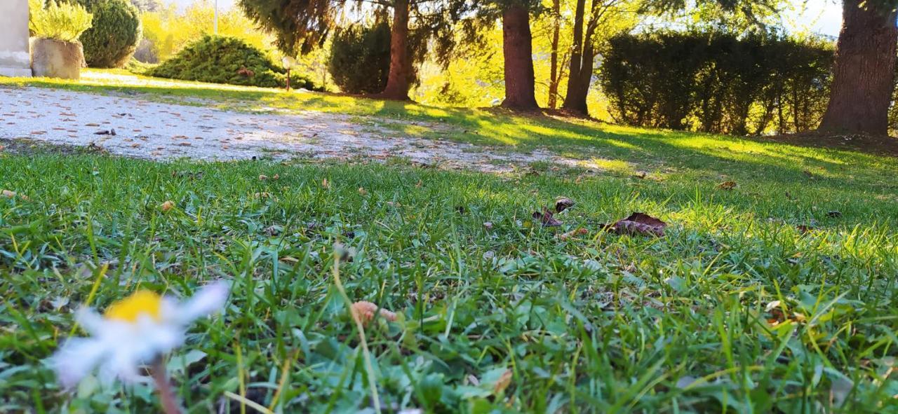 Green House Next - Lovely Apartment For Family And Free Parking Levico Terme Buitenkant foto