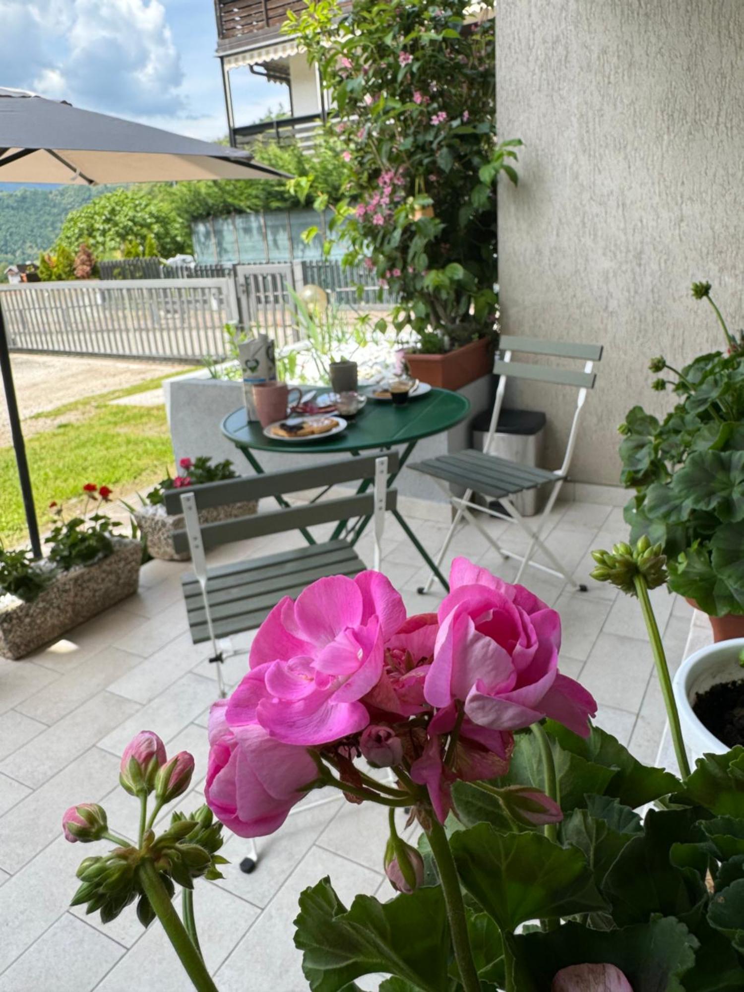 Green House Next - Lovely Apartment For Family And Free Parking Levico Terme Buitenkant foto
