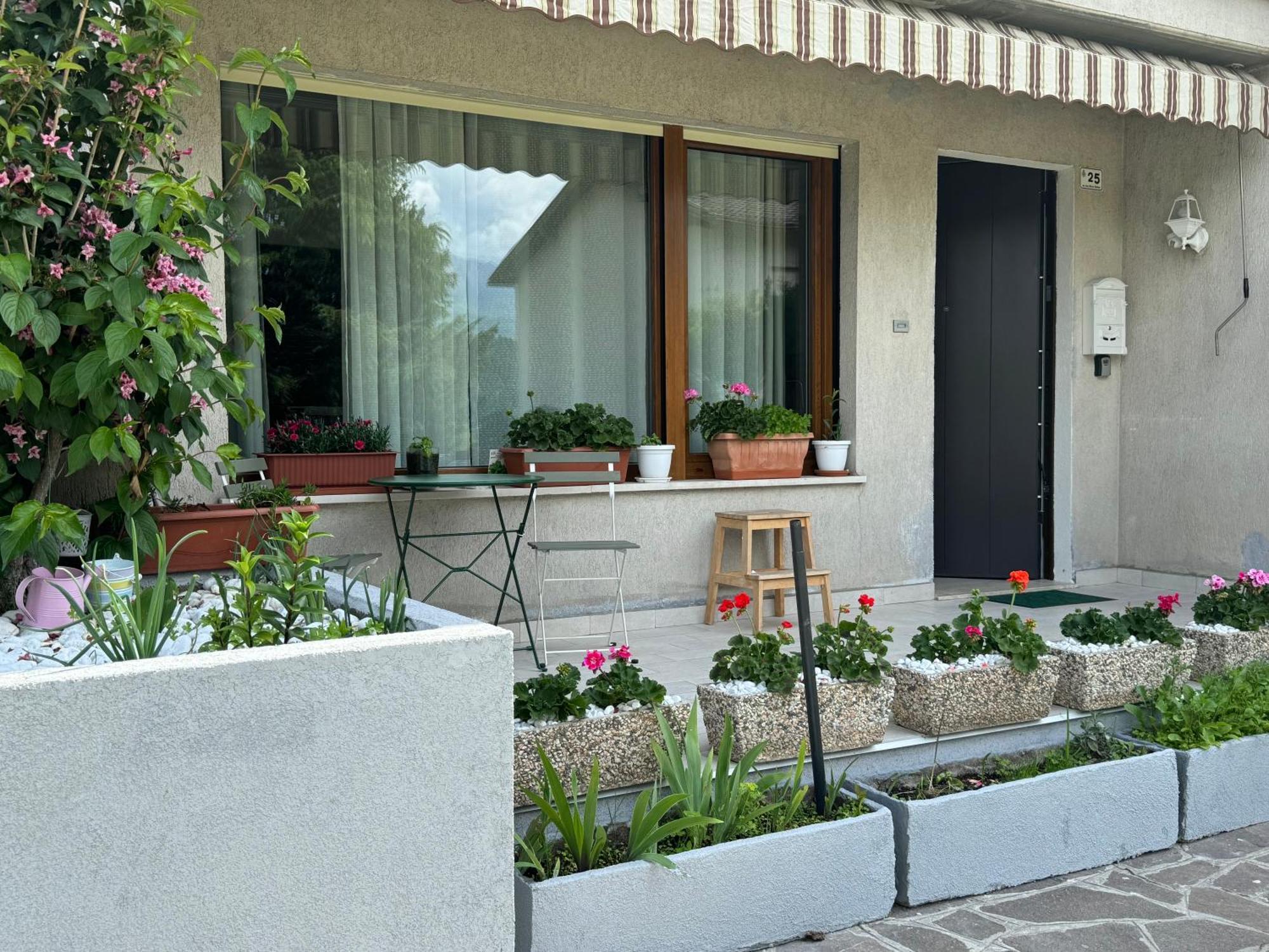 Green House Next - Lovely Apartment For Family And Free Parking Levico Terme Buitenkant foto
